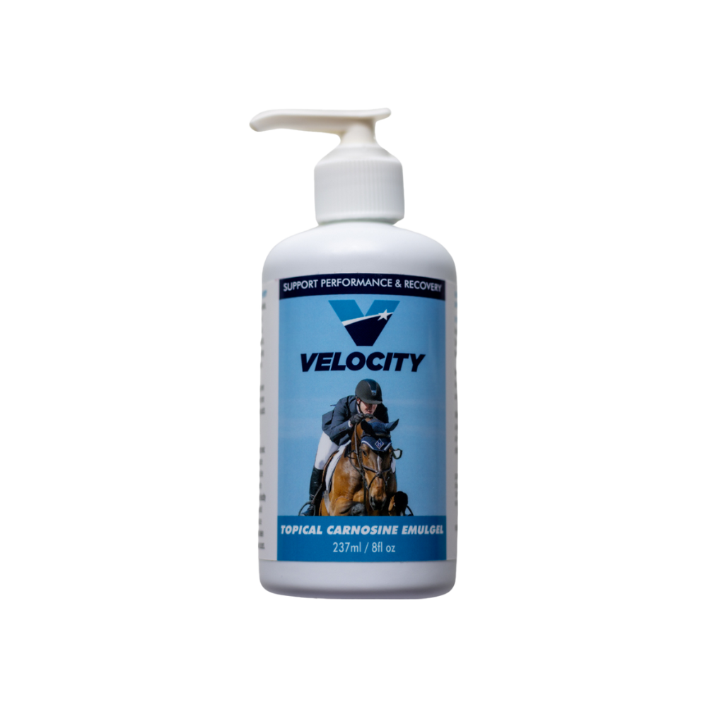 Velocity Carnosine Emulgel 8oz with Pump [USA]